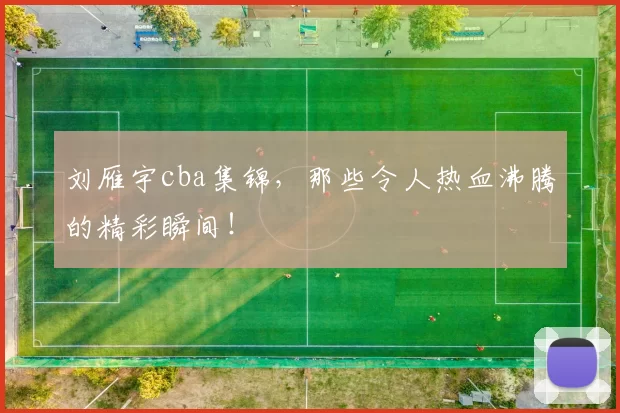 刘雁宇cba集锦,那些令人热血沸腾的精彩瞬间!