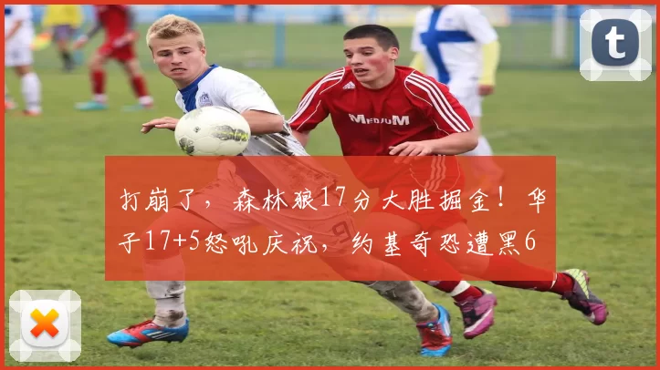 打崩了，森林狼17分大胜掘金！华子17+5怒吼庆祝，约基奇恐遭黑6