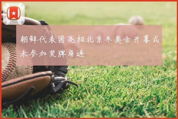 朝鲜代表团亮相北京冬奥会开幕式未参加奖牌角逐