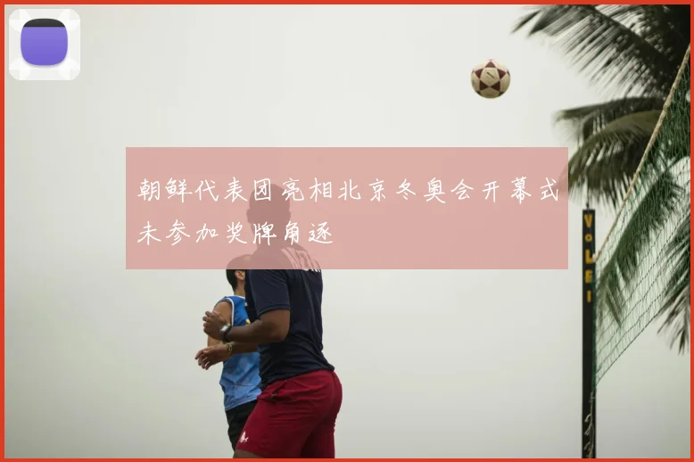 朝鲜代表团亮相北京冬奥会开幕式未参加奖牌角逐