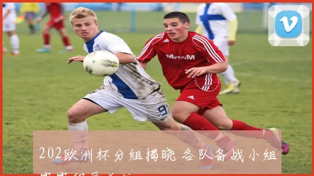 202欧洲杯分组揭晓 各队备战小组赛赛程受关注
